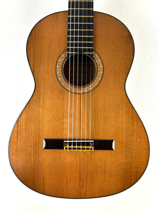 Erwin von Grüner 1a Video Rio-Palisander 665 mm Gitarre