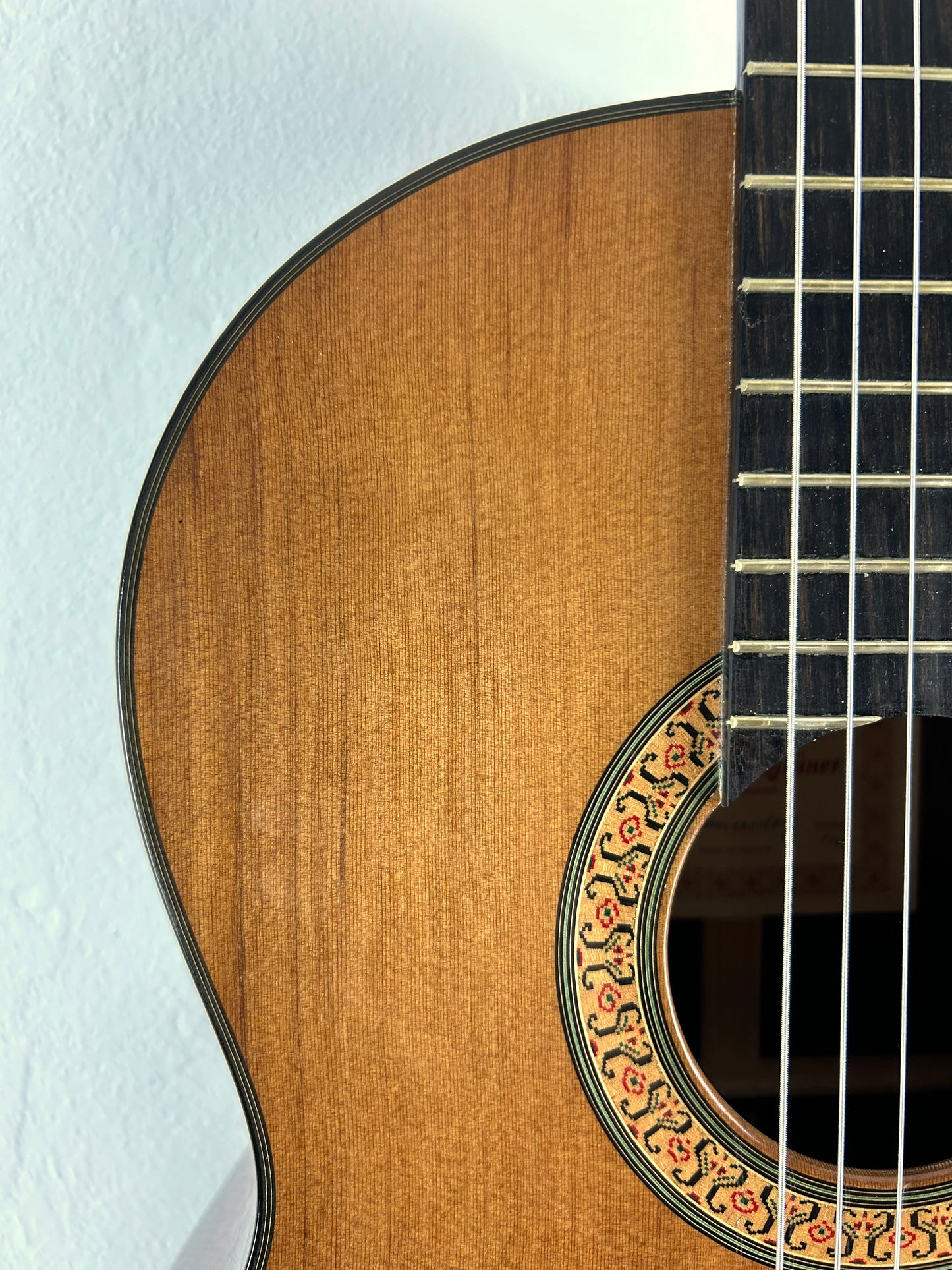 Erwin von Grüner 1a Video Rio-Palisander 665 mm Gitarre