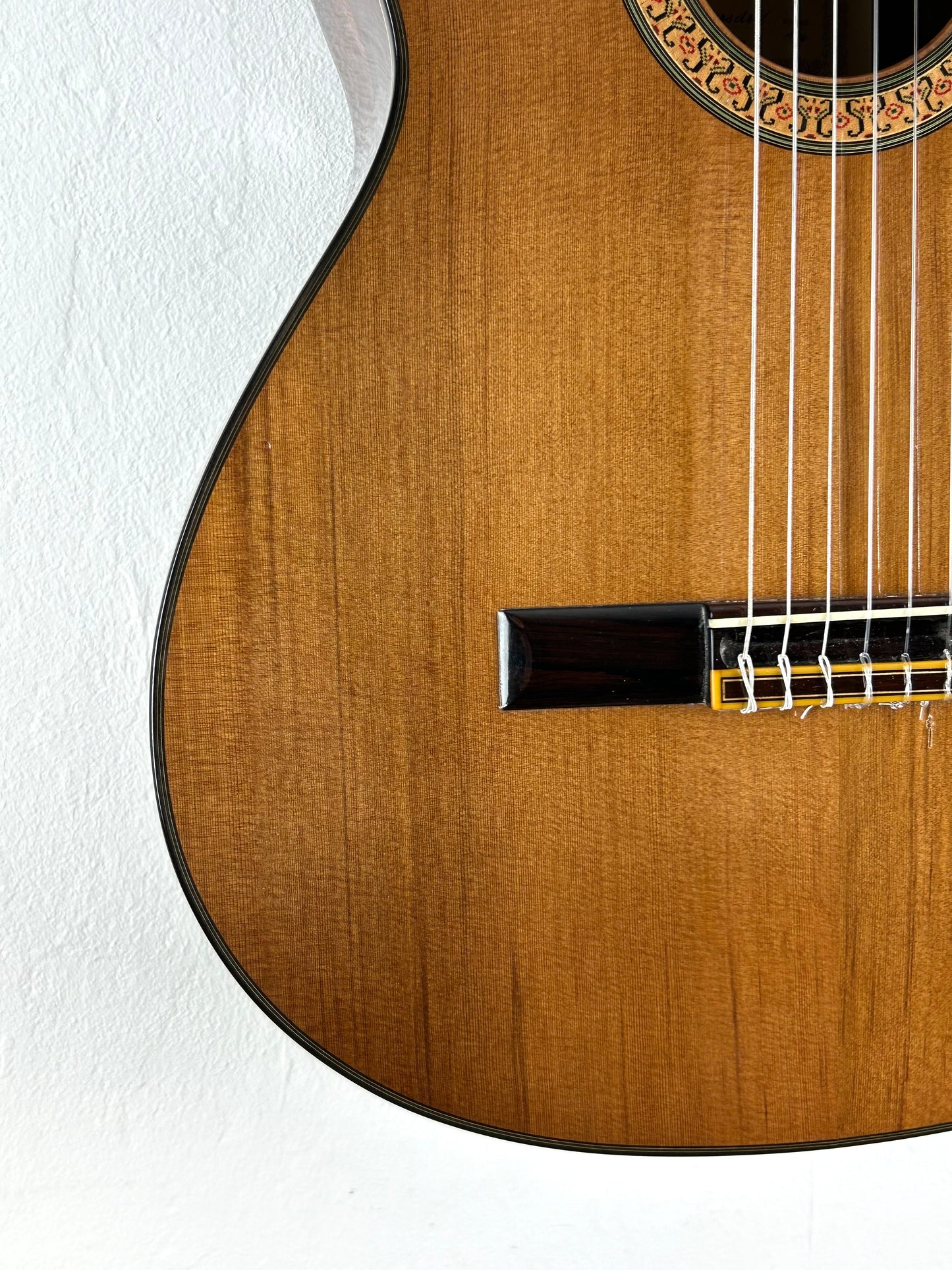 Erwin von Grüner 1a Video Rio-Palisander 665 mm Gitarre