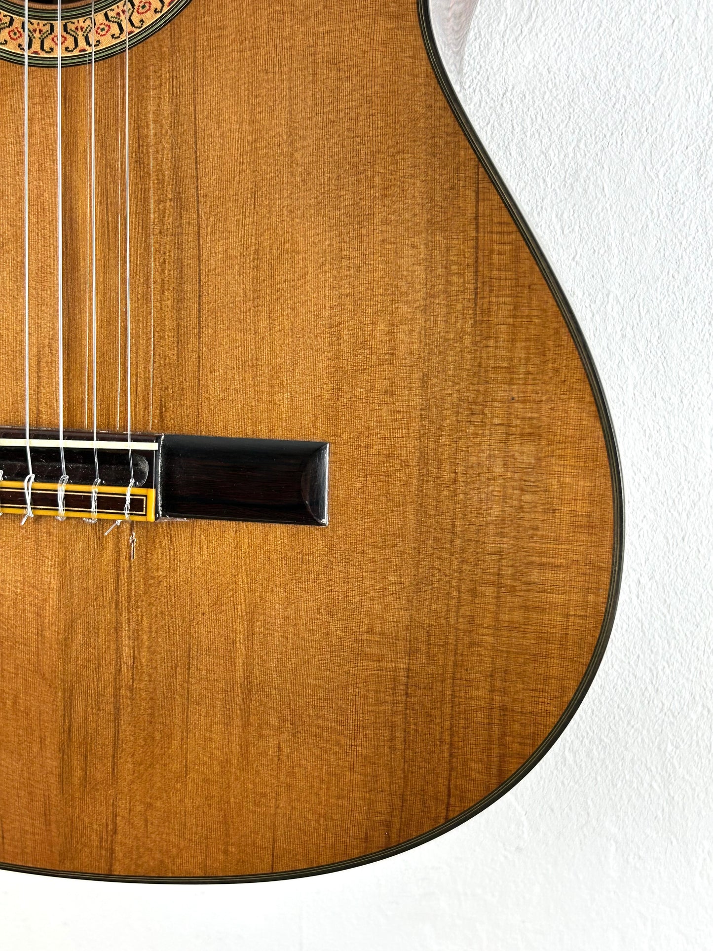 Erwin von Grüner 1a Video Rio-Palisander 665 mm Gitarre