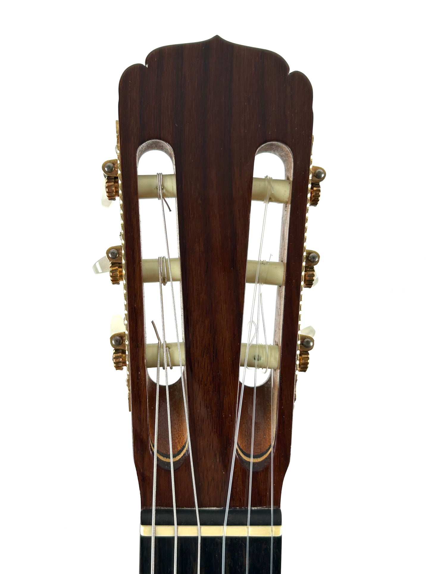 Erwin von Grüner 1a Video Rio-Palisander 665 mm Gitarre