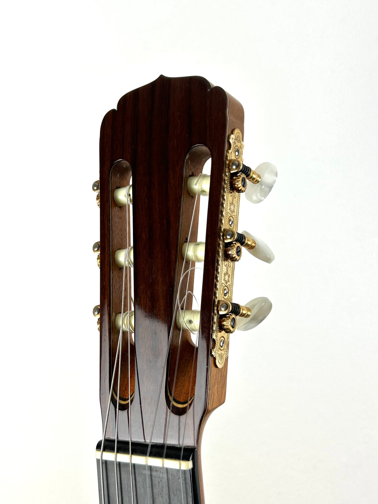 Erwin von Grüner 1a Video Rio-Palisander 665 mm Gitarre