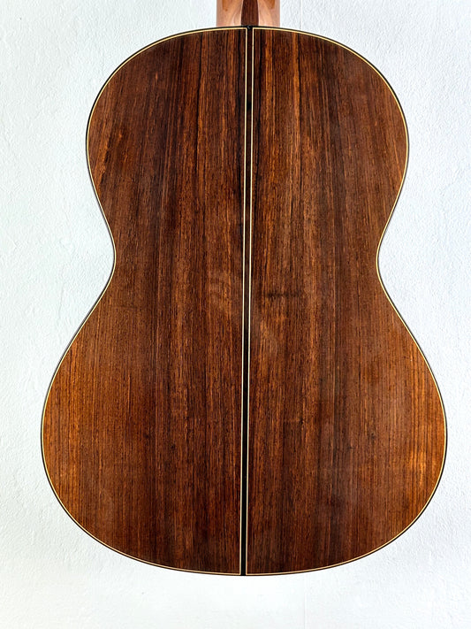 Erwin von Grüner 1a Video Rio-Palisander 665 mm Gitarre