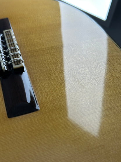 Hirade Concert Arte 10 1980 !Video! Meistergitarre Gitarre