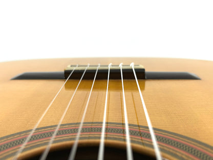 Hirade Concert Arte 10 1980 !Video! Meistergitarre Gitarre