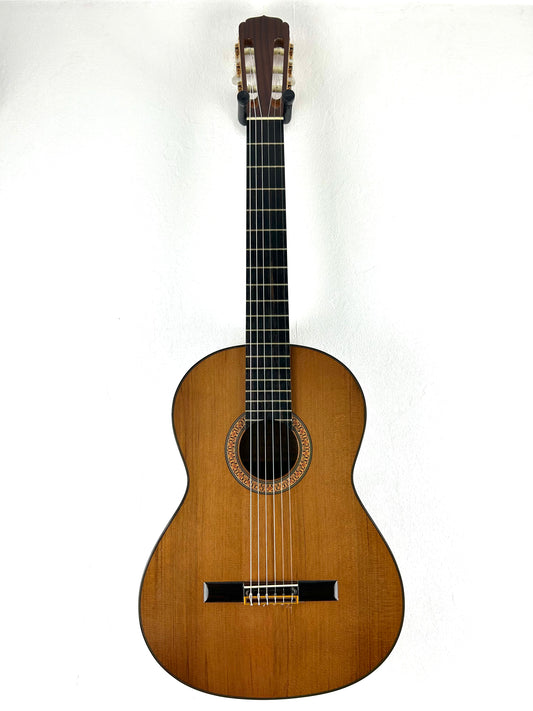 Erwin von Grüner 1a Video Rio-Palisander 665 mm Gitarre