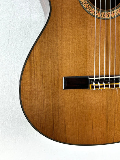 Erwin von Grüner 1a Video Rio-Palisander 665 mm Gitarre