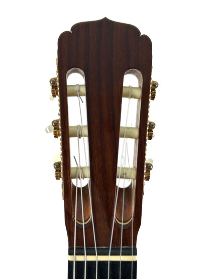 Erwin von Grüner 1a Video Rio-Palisander 665 mm Gitarre
