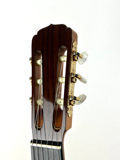 Erwin von Grüner 1a Video Rio-Palisander 665 mm Gitarre
