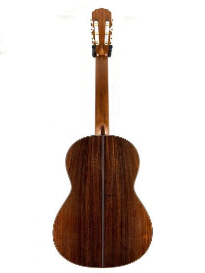Erwin von Grüner 1a Video Rio-Palisander 665 mm Gitarre