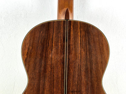 Erwin von Grüner 1a Video Rio-Palisander 665 mm Gitarre