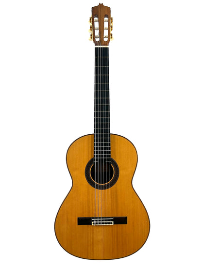 Paco Santiago Marin 1982 !Video! Rio CITES Granada Gitarre