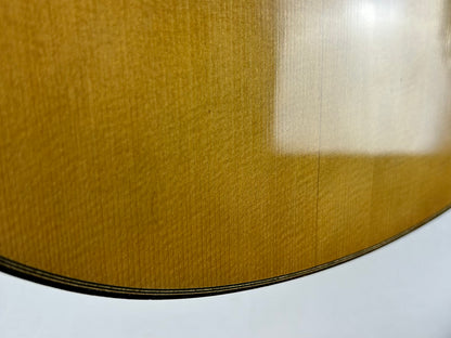 Antonio Raya Pardo - Decke, Reparatur