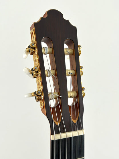 Erik Krause 1995 Langhals-Gitarre Kopf