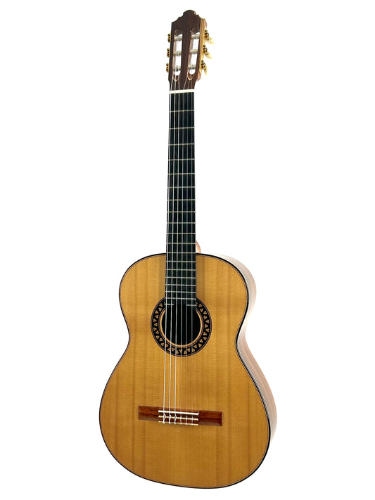 Erik Krause 2017 Meistergitarre