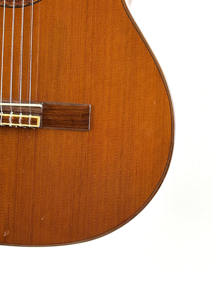 Valdez 18 !Video! Gitarre Konzertgitarre Vollmassiv Warmer Klang