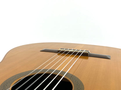 Yamaha GC-30B 1974 Steg